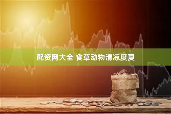 配资网大全 食草动物清凉度夏