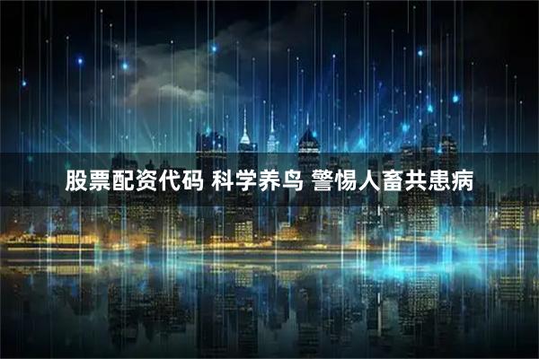 股票配资代码 科学养鸟 警惕人畜共患病