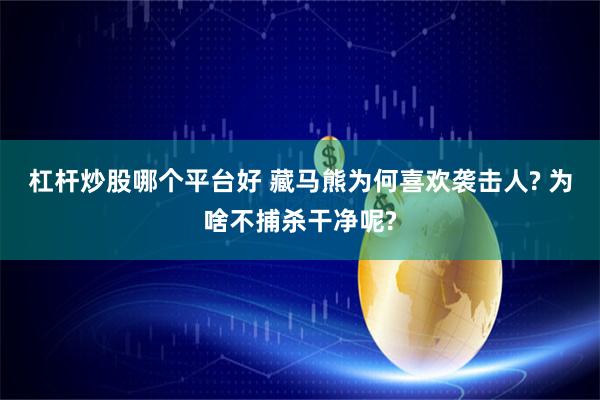 杠杆炒股哪个平台好 藏马熊为何喜欢袭击人? 为啥不捕杀干净呢?
